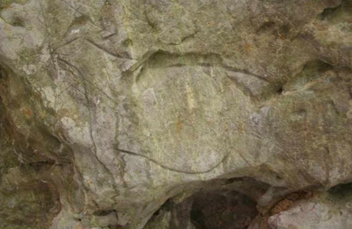 Viaje a los orígenes del Arte: Cueva del Conde y Abrigo de Santo Adriano.