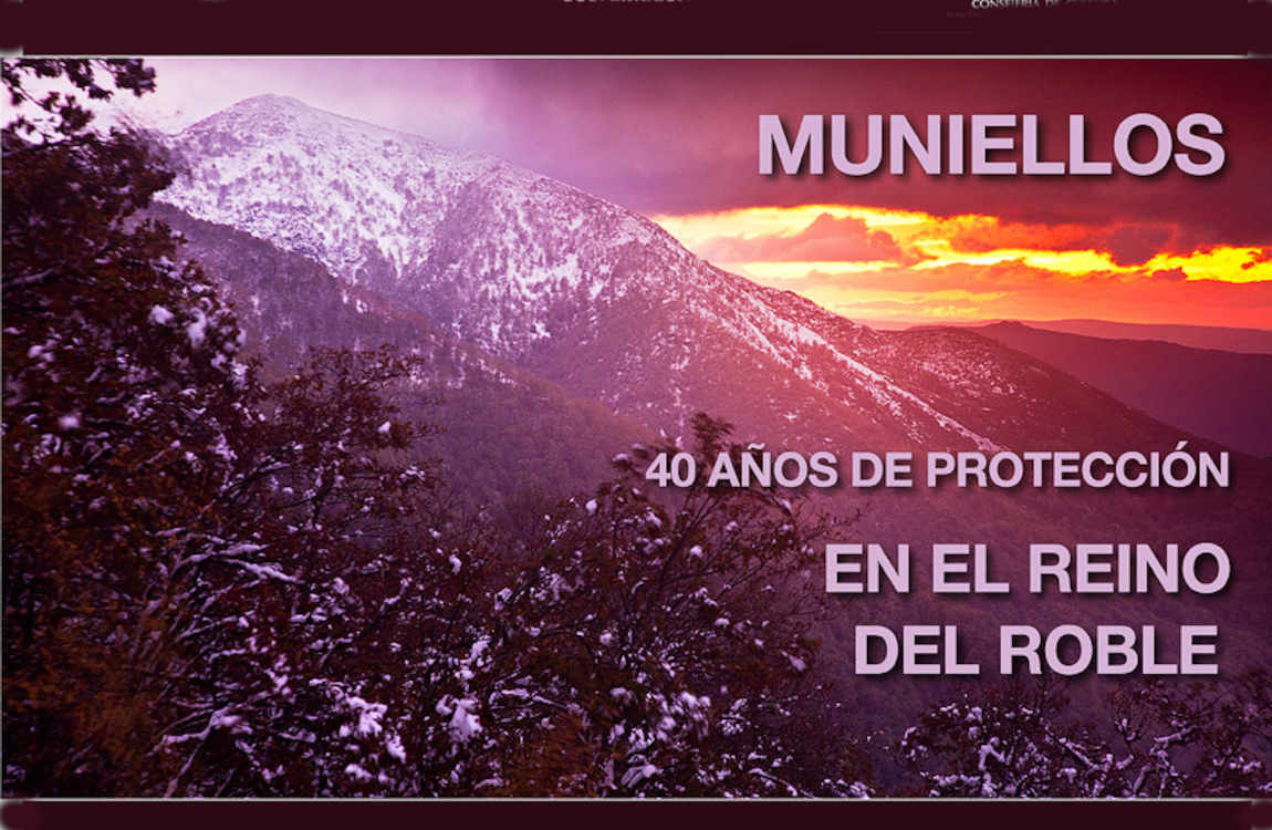 Muniellos. 40 años de protección en el reino del roble