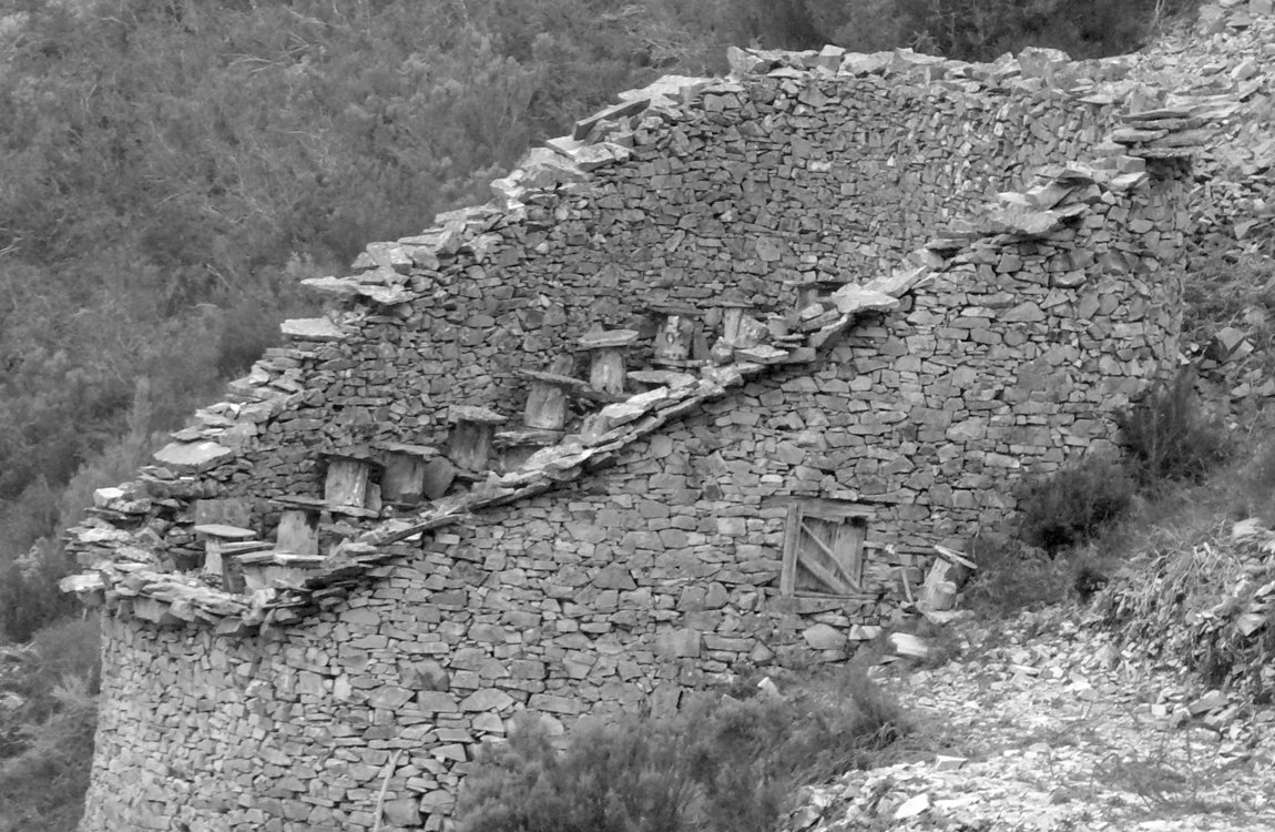 Cortinos. Colmenares tradicionales del occidente de Asturias