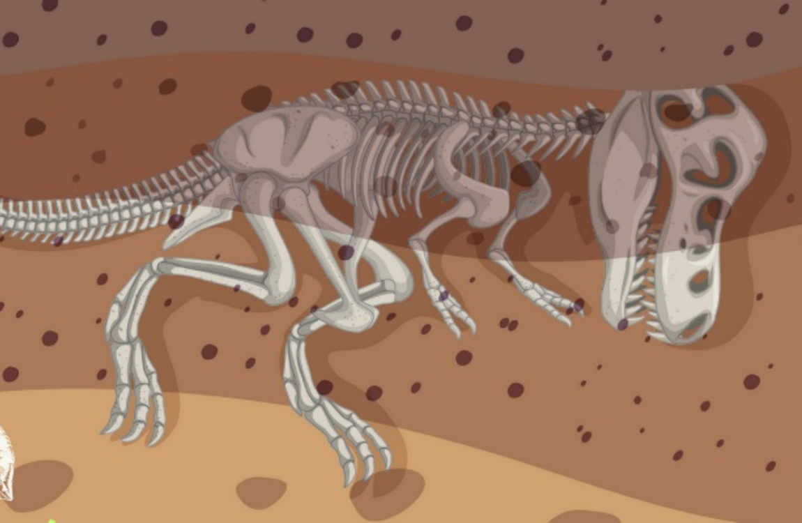 Programación de octubre en el Museo del Jurásico de Asturias